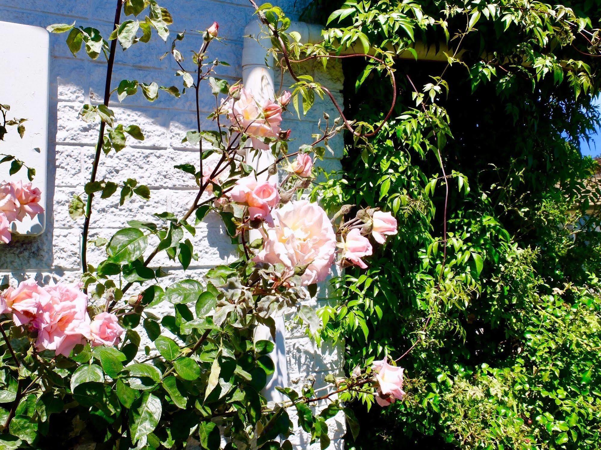 Ilam Motel Christchurch Bagian luar foto